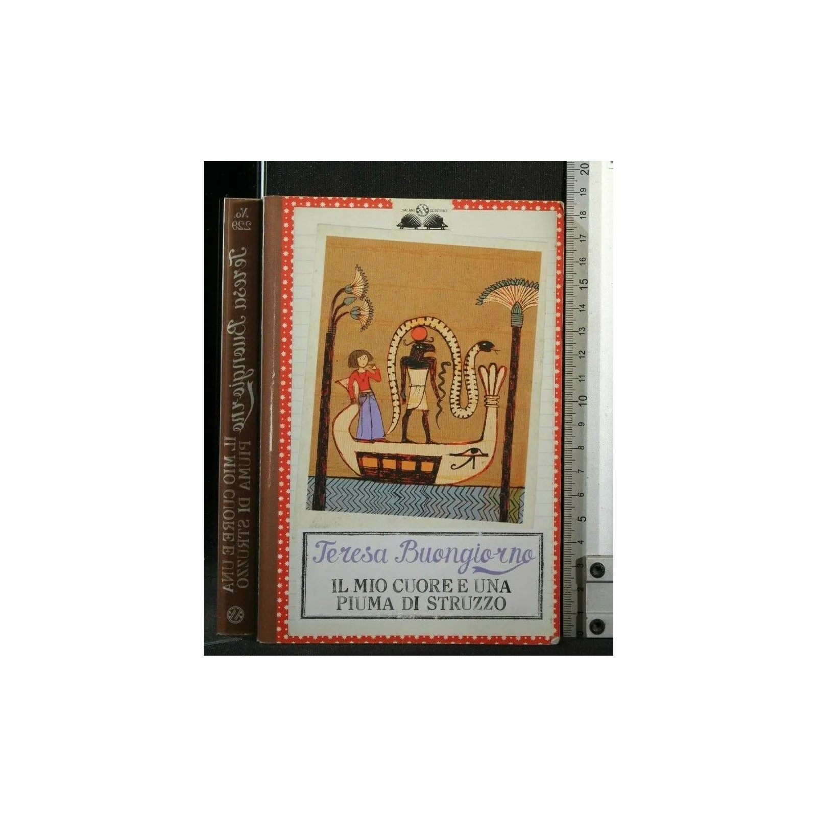 IL MIO CUORE E UN APIUMA DI STRUZZO