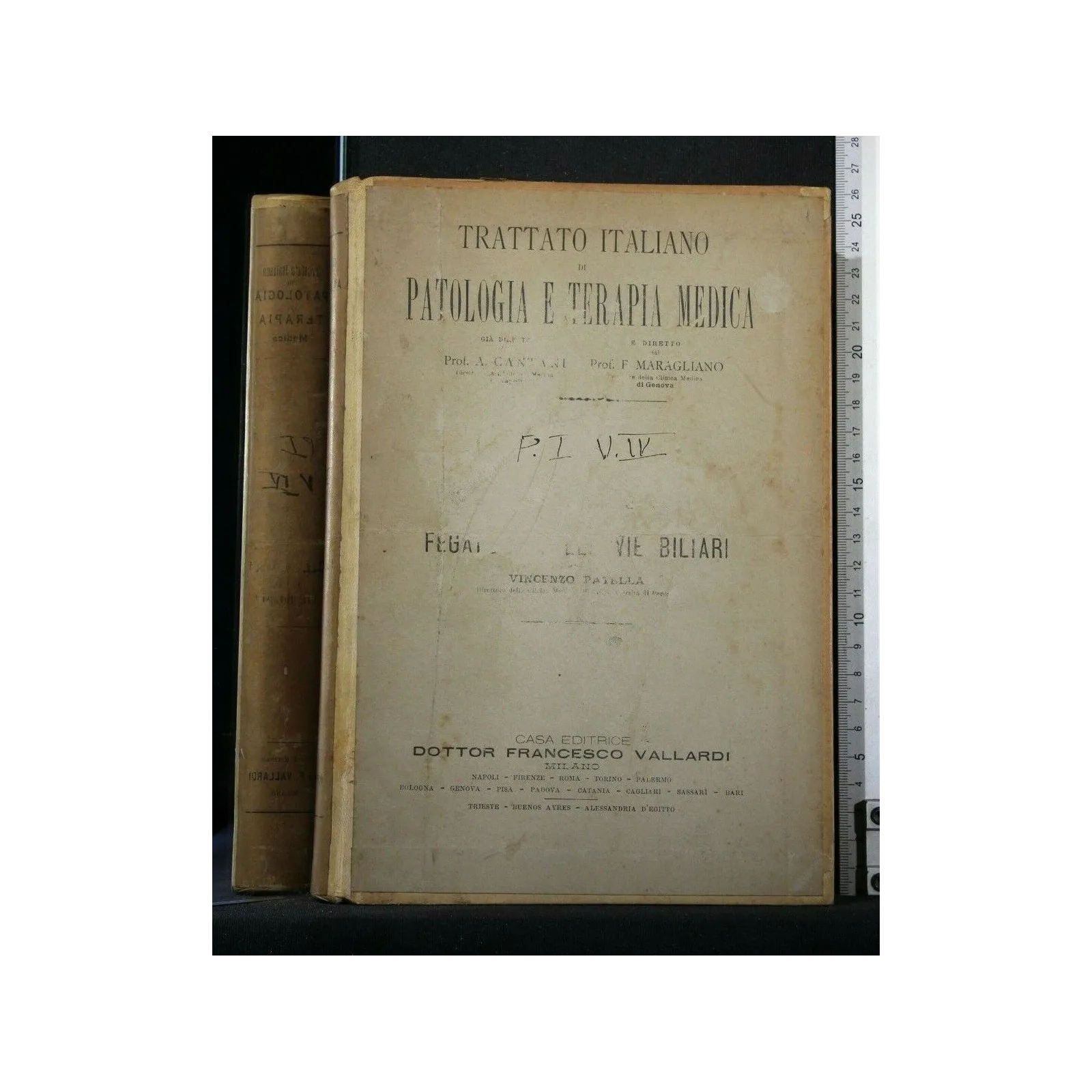 TRATTATO ITALIANO DI PATOLOGIA E TERAPIA MEDICA TRATTATO DELLE