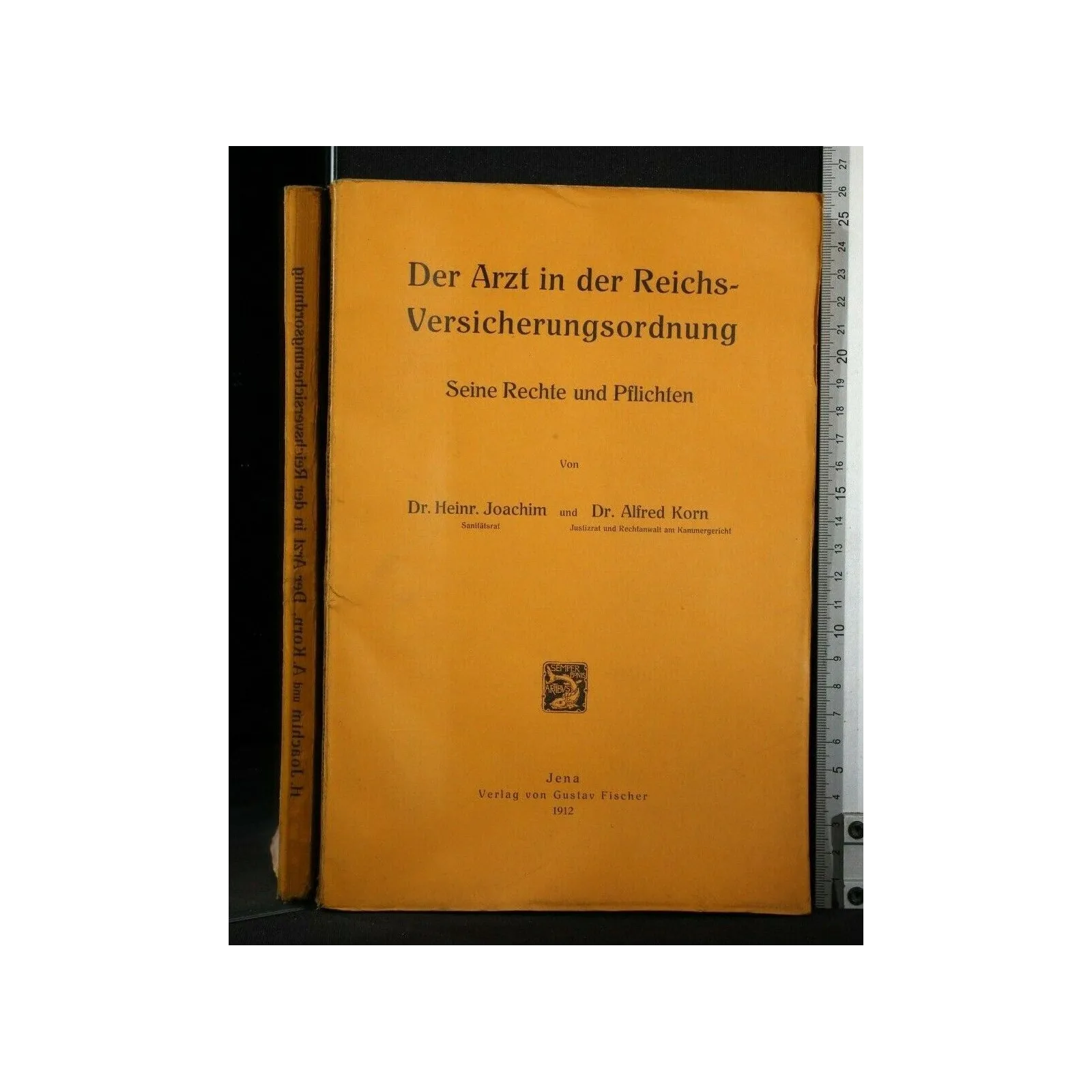 DER ARZT IN DER REICHSVERSICHERUNGSORDNUNG SEINE RECHTE UND