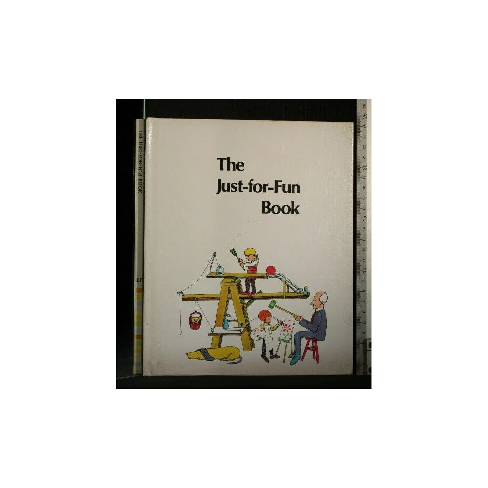 THE JUST FOR FUN BOOK 12