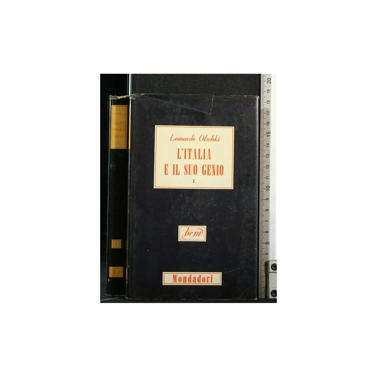 L'ITALIA E IL SUO GENIO I
