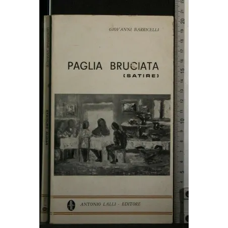 PAGLIA BRUCIATA (SATIRE)