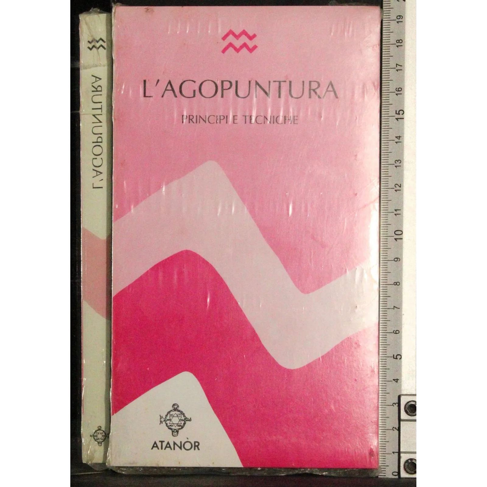 L'agopuntura. Principi e tecniche