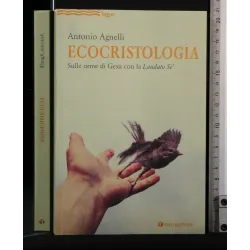 ECOCRISTOLOGIA