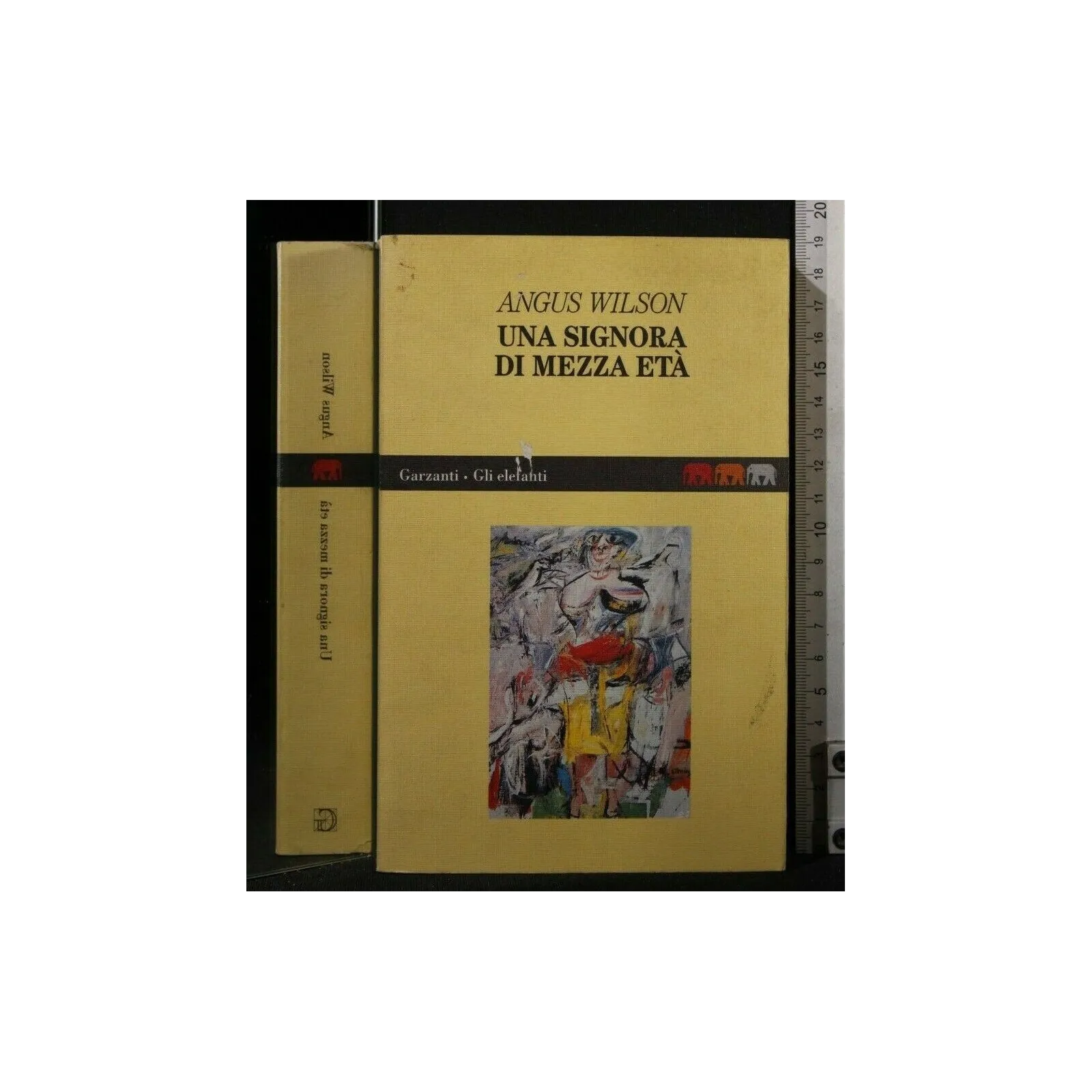 UNA SIGNORA DI MEZZA ETA'