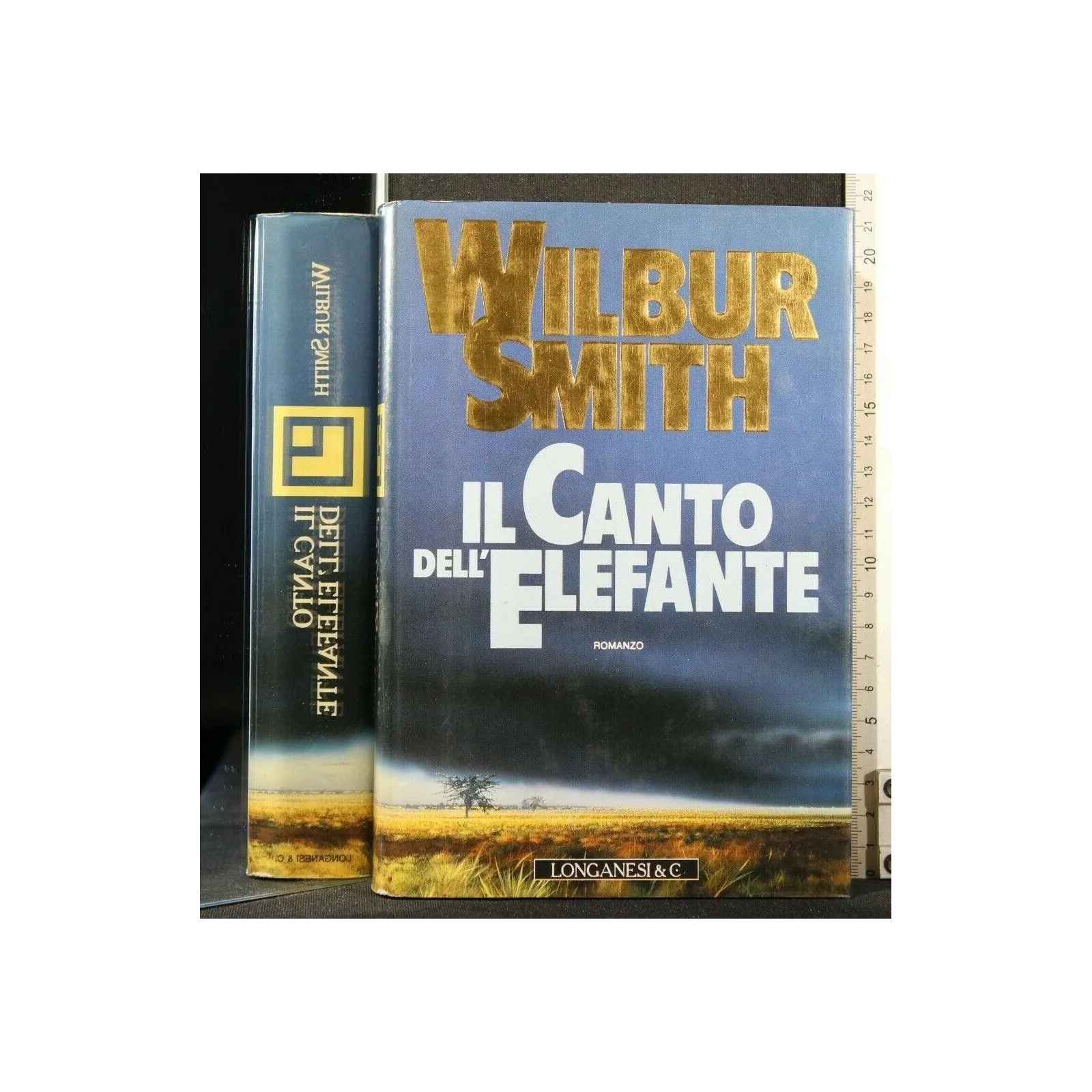 IL CANTO DELL'ELEFANTE