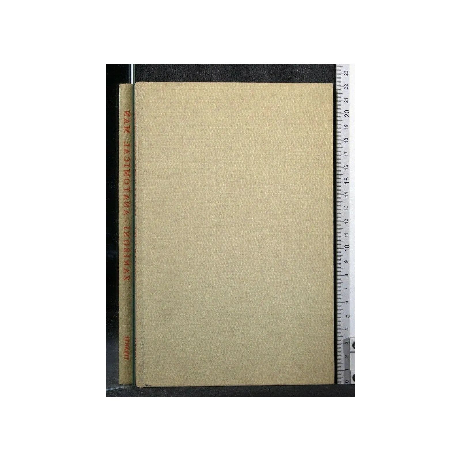 ANATOMICAL MAN BONES AND MUSCLES FOR THE ART STUDENT