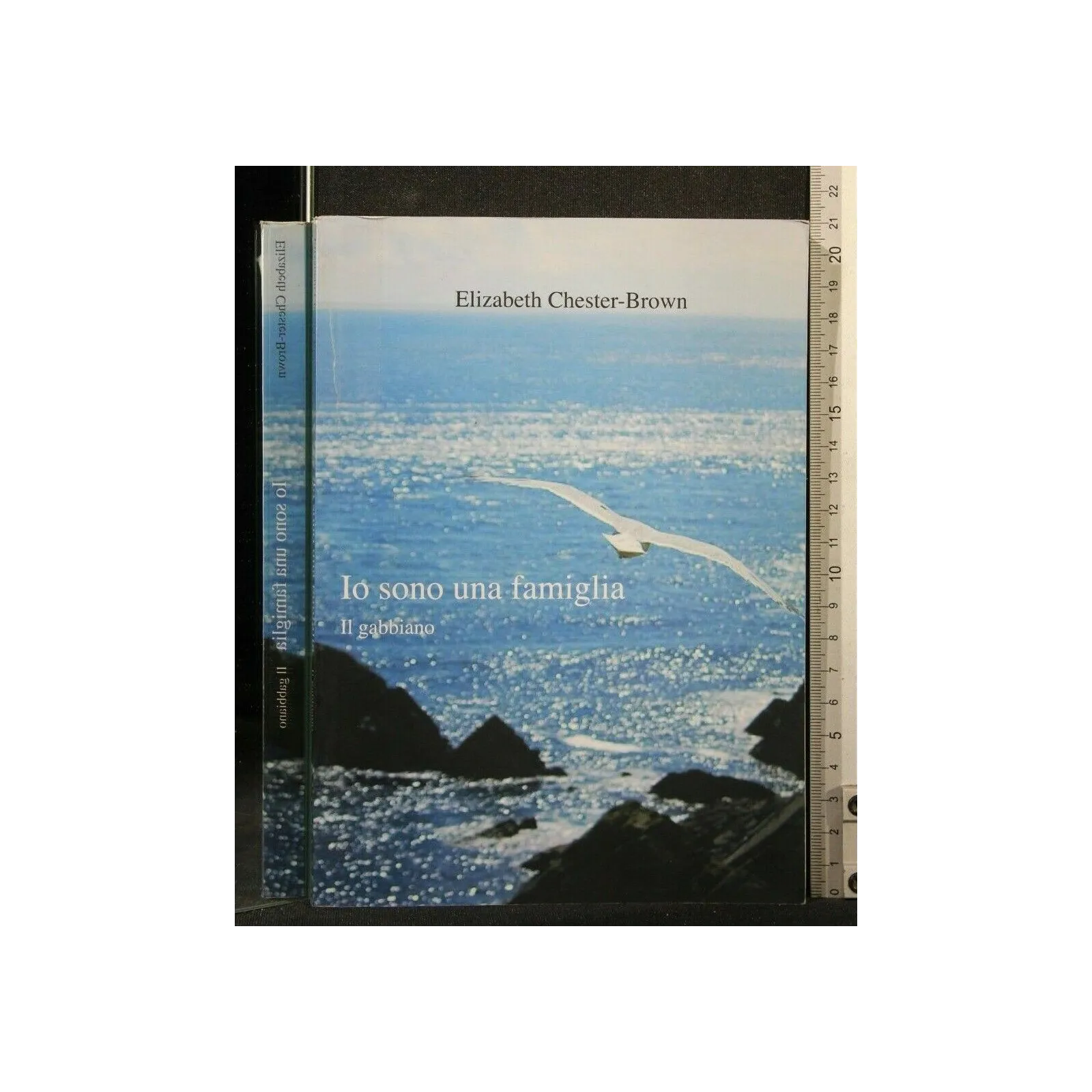 IO SONO UNA FAMIGLIA IL GABBIANO