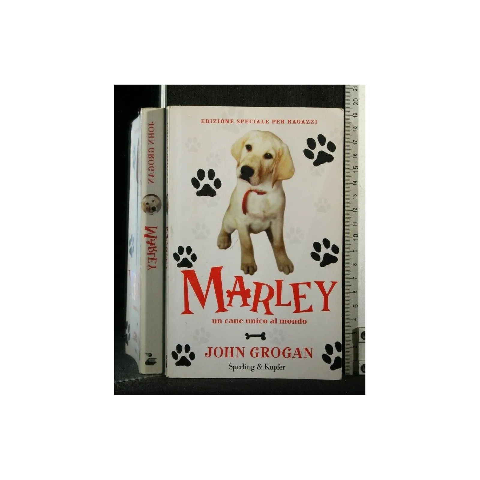 MARLEY UN CANE UNICO AL MONDO