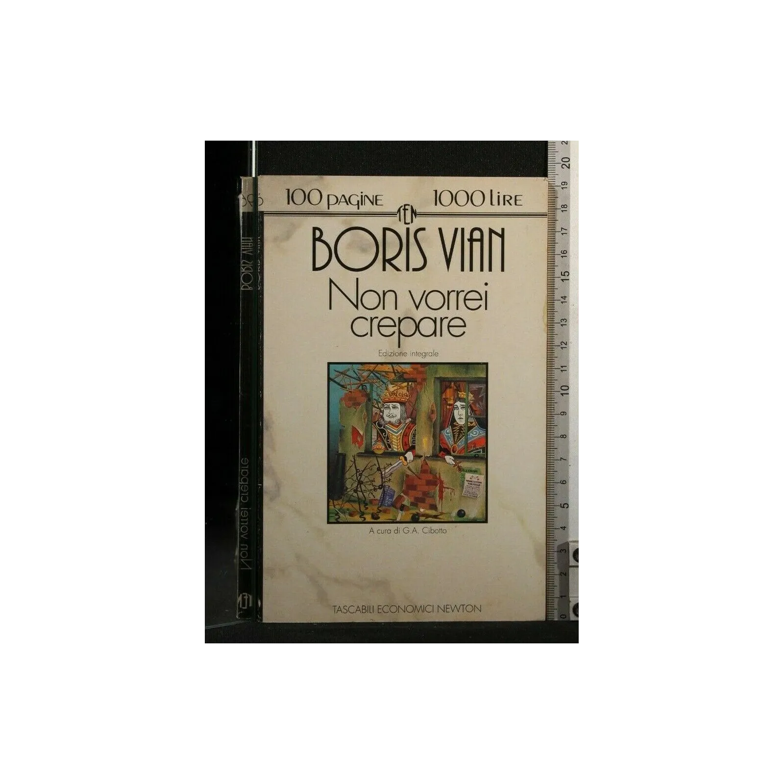 CENTOPAGINE NON VORREI CREPARE