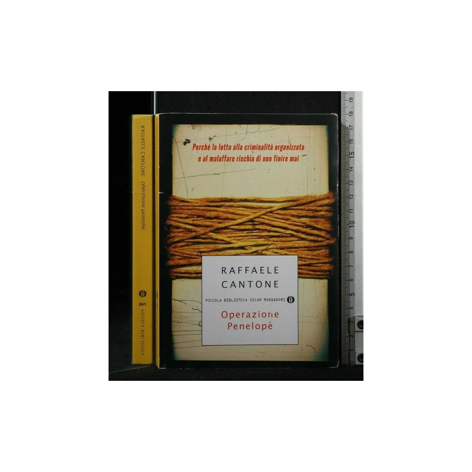 OPERAZIONE PENELOPE. RAFFAELE CANTONE.