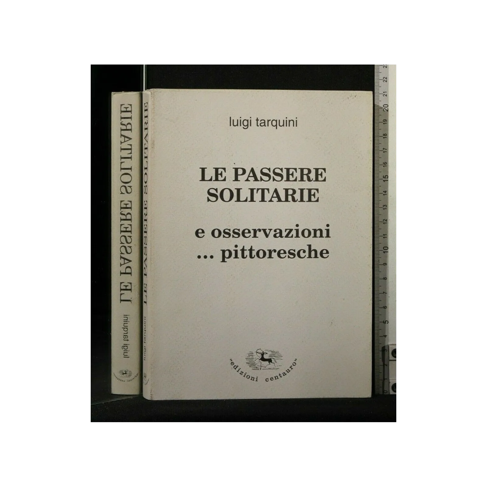 LE PASSERE SOLITARIE E OSSERVAZIONI...PITTORESTICHE