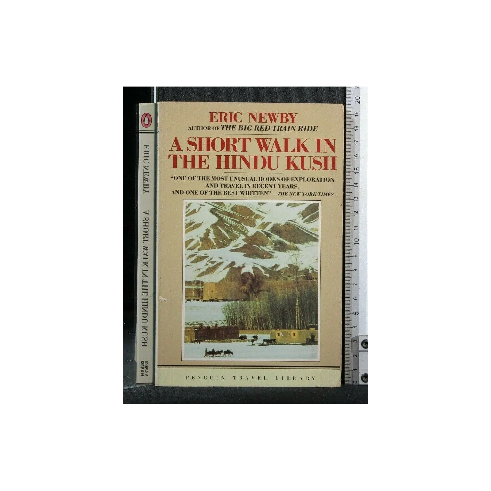 A SHORT WALK IN THE HINDU KUSH