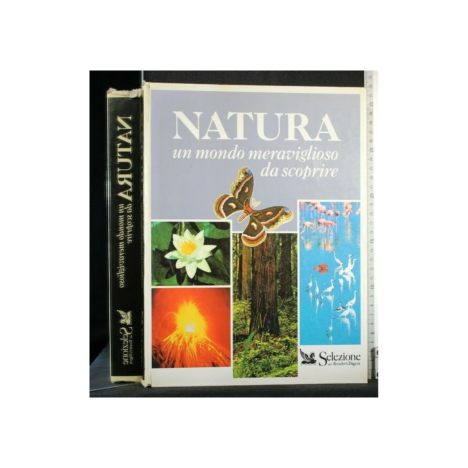 NATURA. UN MONDO MERAVIGIOSO DA SCOPRIRE. AA.VV. SELEZIONE