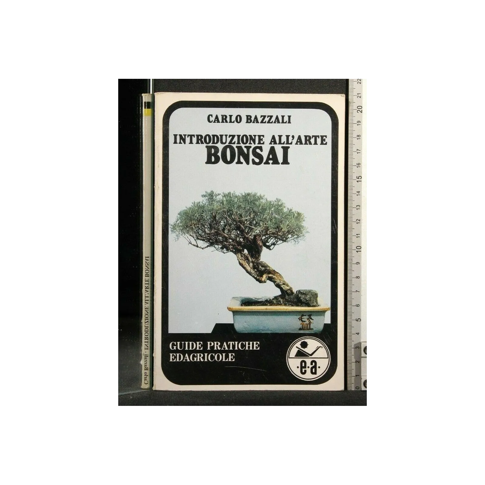 INTRODUZIONE ALL'ARTE BONSAI