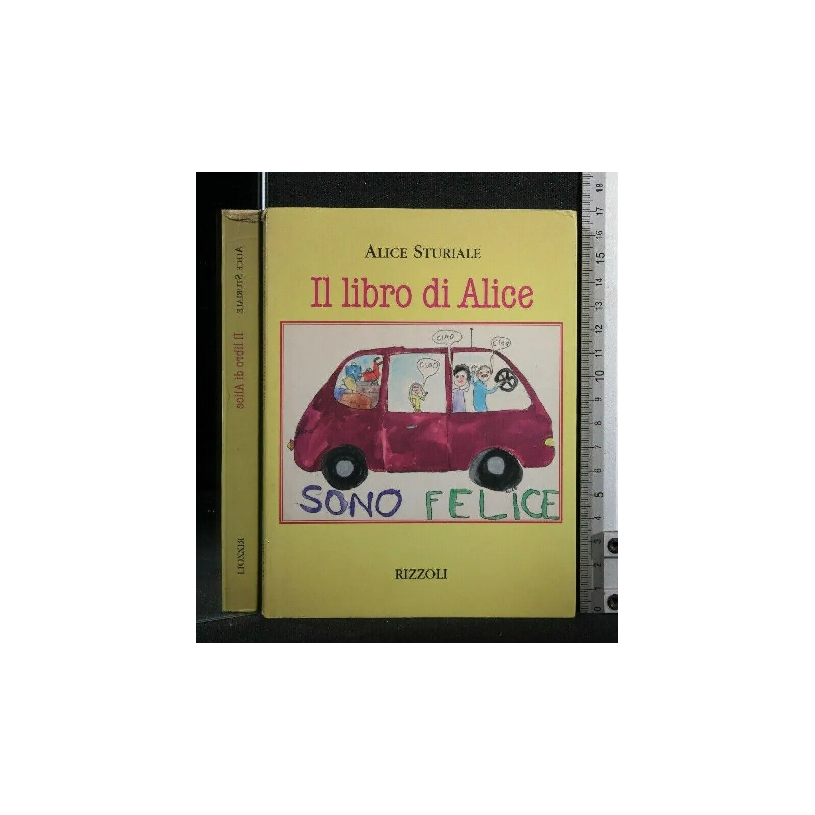 IL LIBRO DI ALICE