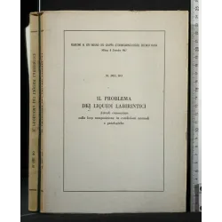 IL PROBLEMA DEI LIQUIDI LABIRINTICI