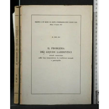 IL PROBLEMA DEI LIQUIDI LABIRINTICI