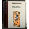 PICASSO
