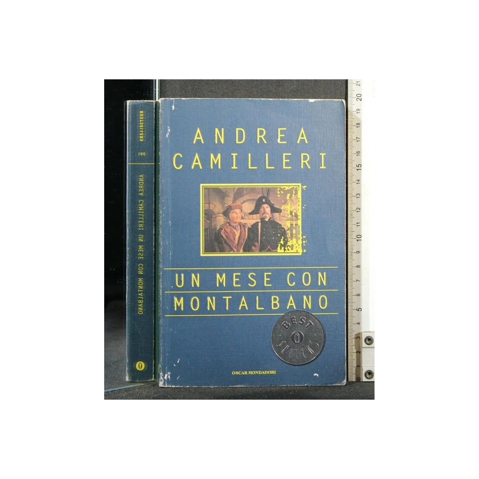 UN MESE CON MONTALBANO