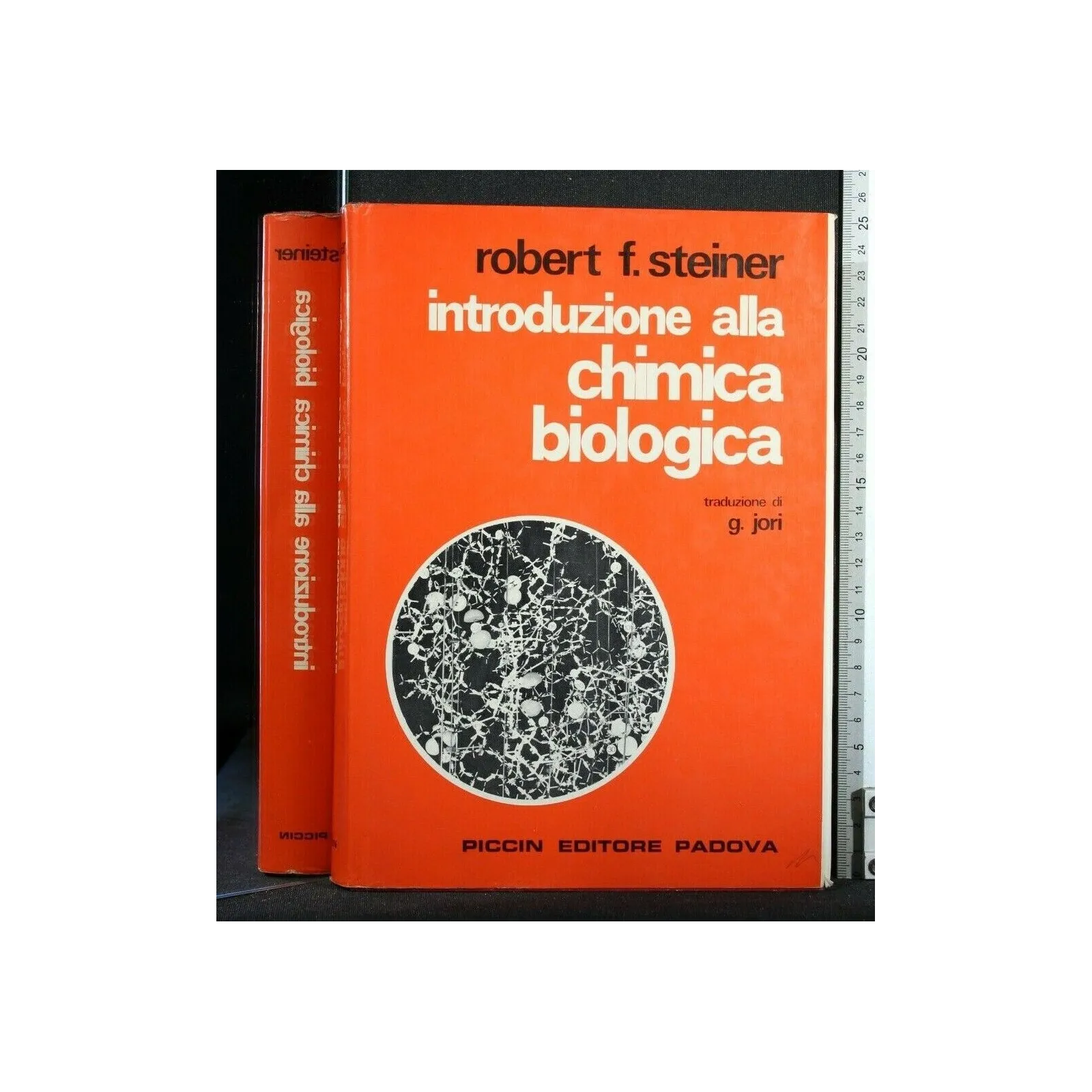 INTRODUZIONE ALLA CHIMICA BIOLOGICA