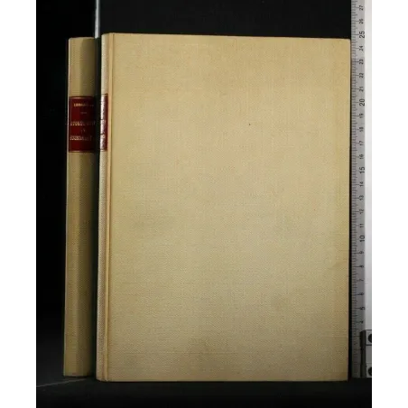 VITA IGNOTA DI SAN FRANCESCO