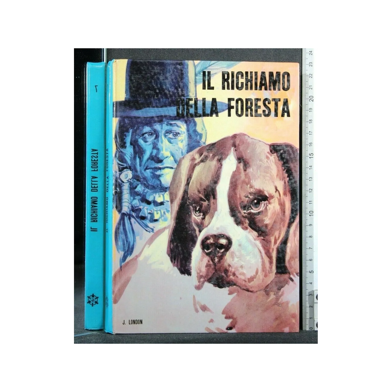 IL RICHIAMO DELLA FORESTA