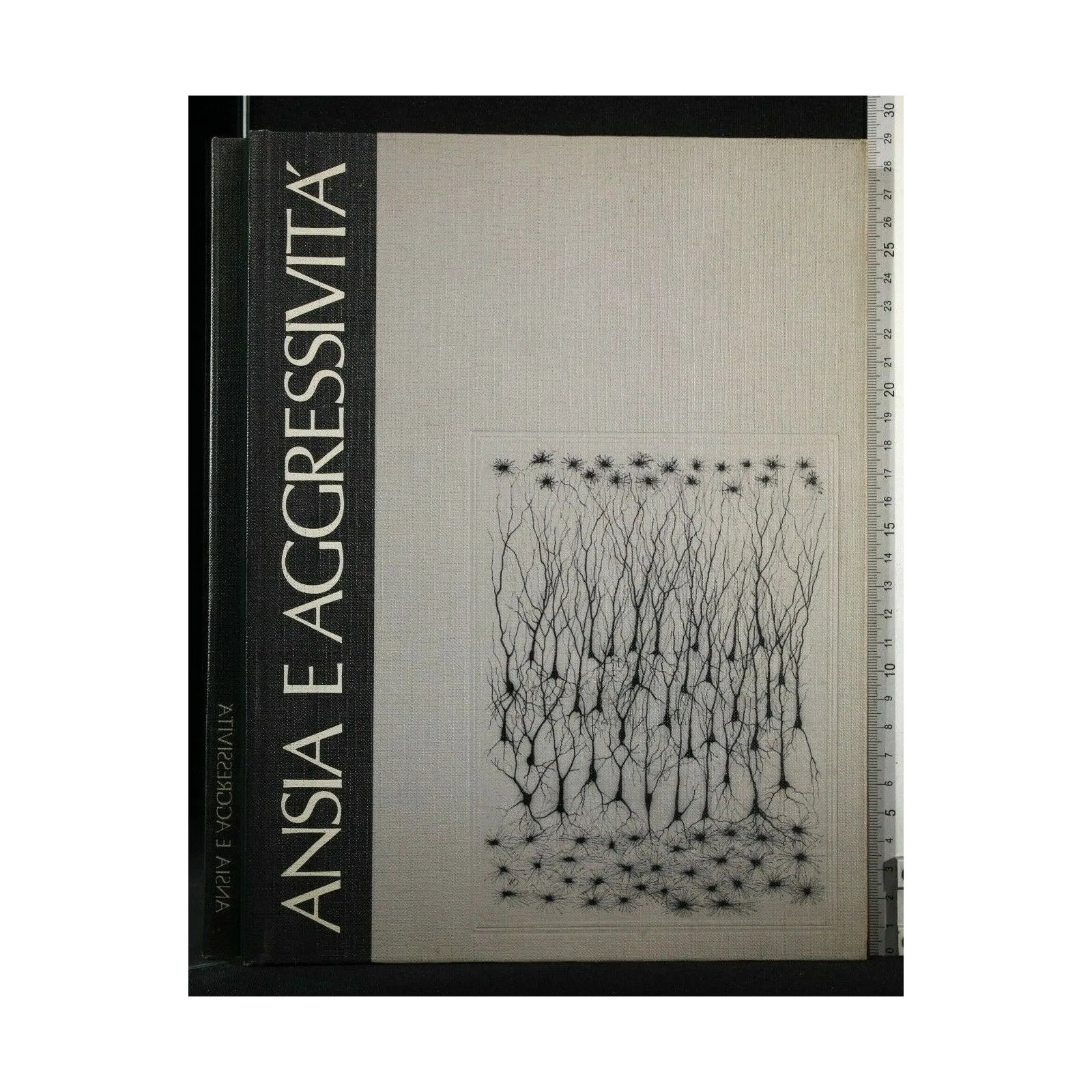 ANSIA E AGGRESSIVITA'