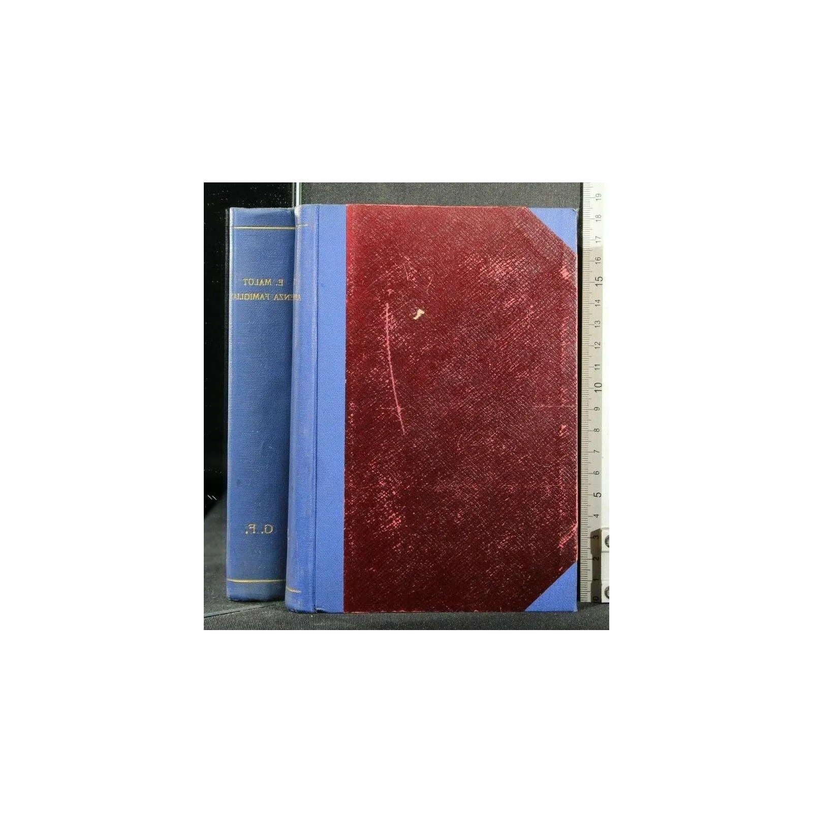 SENZA FAMIGLIA VOL.1