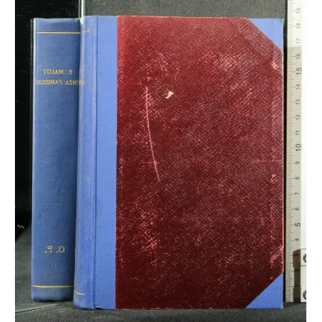 SENZA FAMIGLIA VOL.1