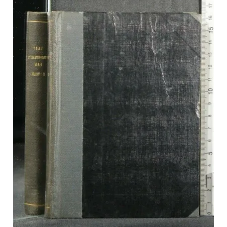 LADY WINDERMERE'S FAN