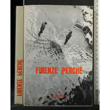 FIRENZE PERCHE' IL PONTE