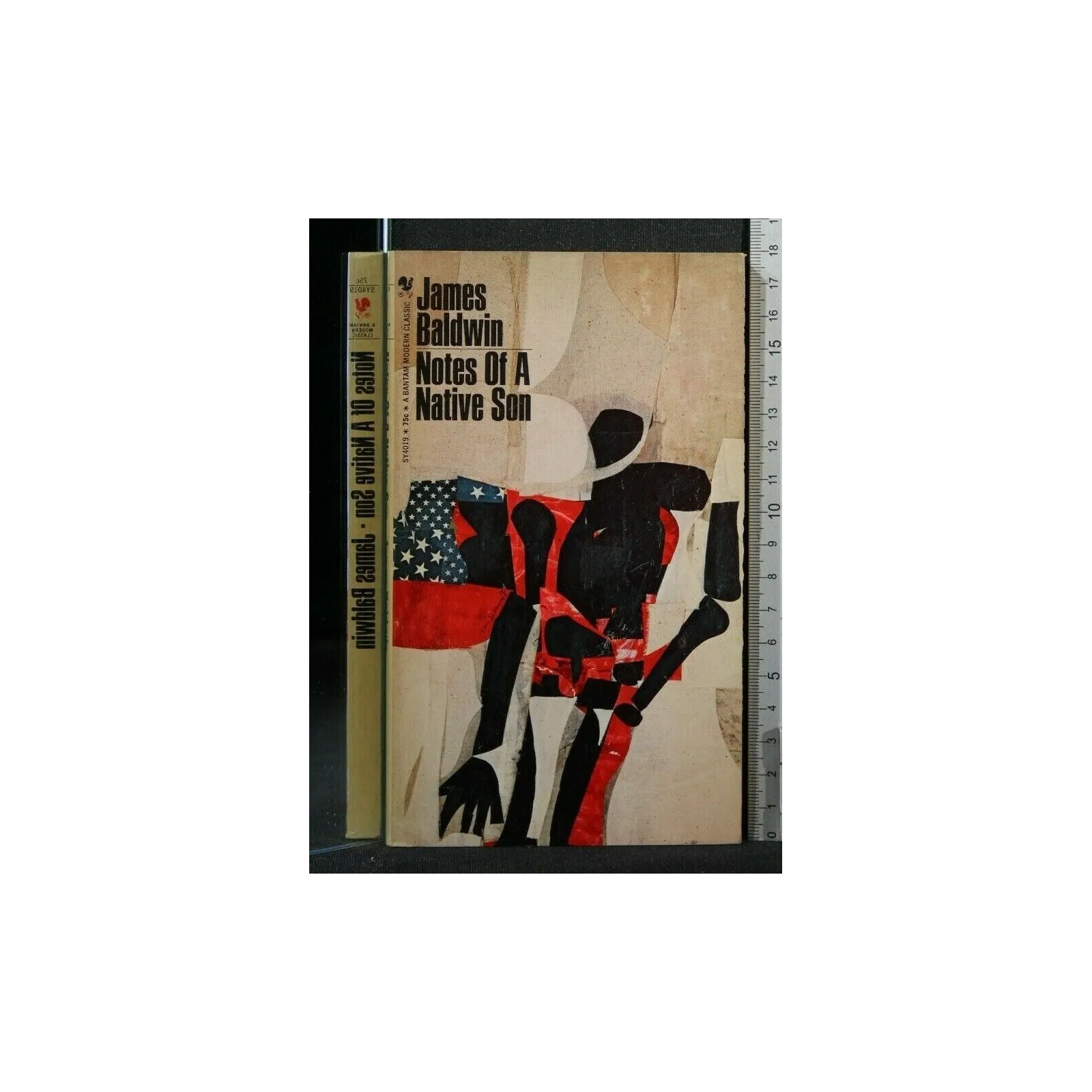 NOTES OF A NATIVE SON