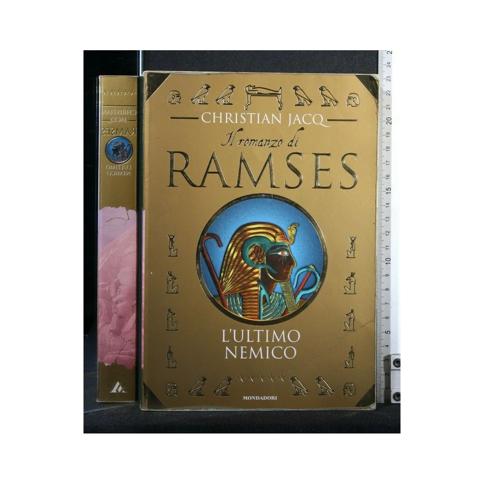 IL ROMANZO DI RAMSES L'ULTIMO NEMICO
