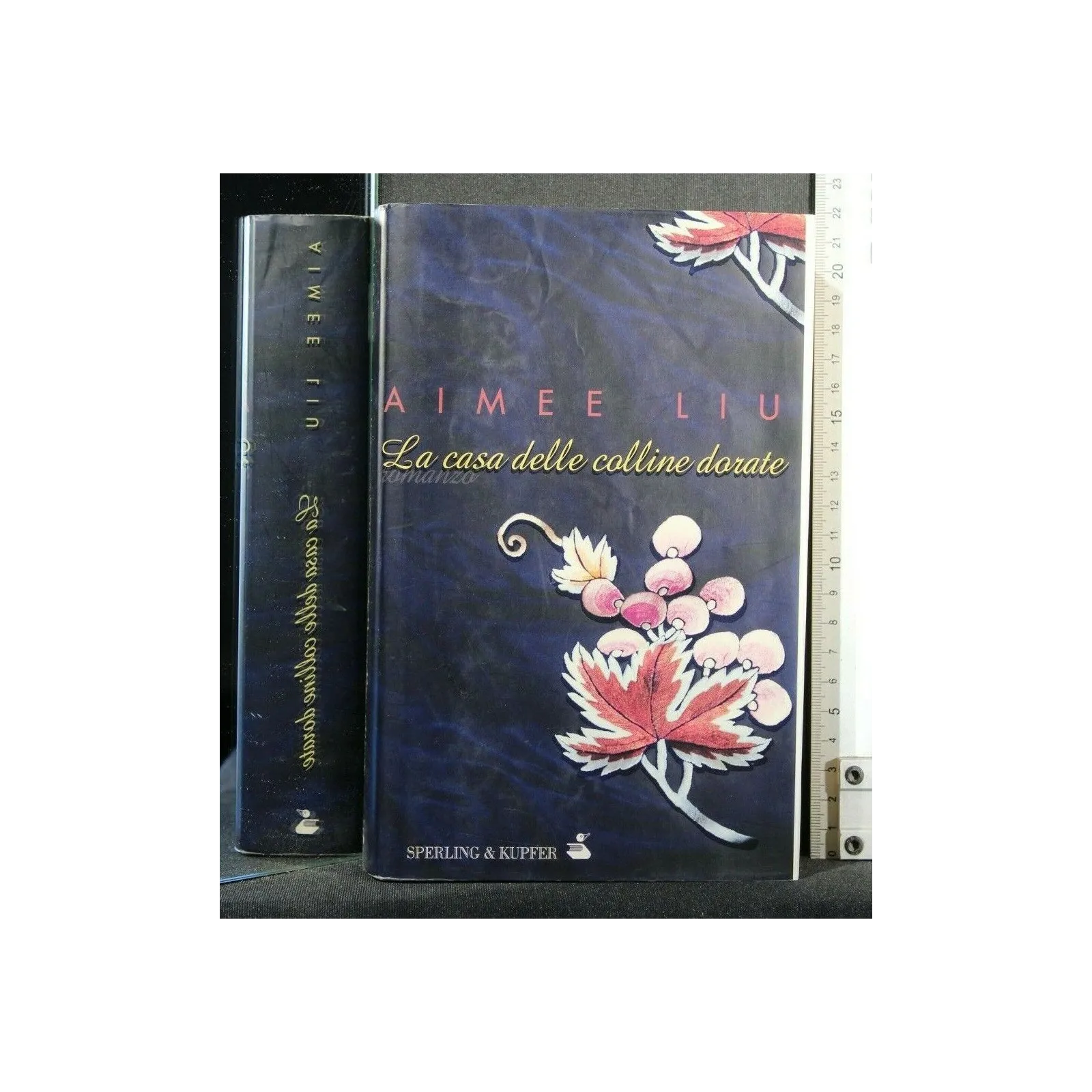 LA CASA DELLE COLLINE DORATE