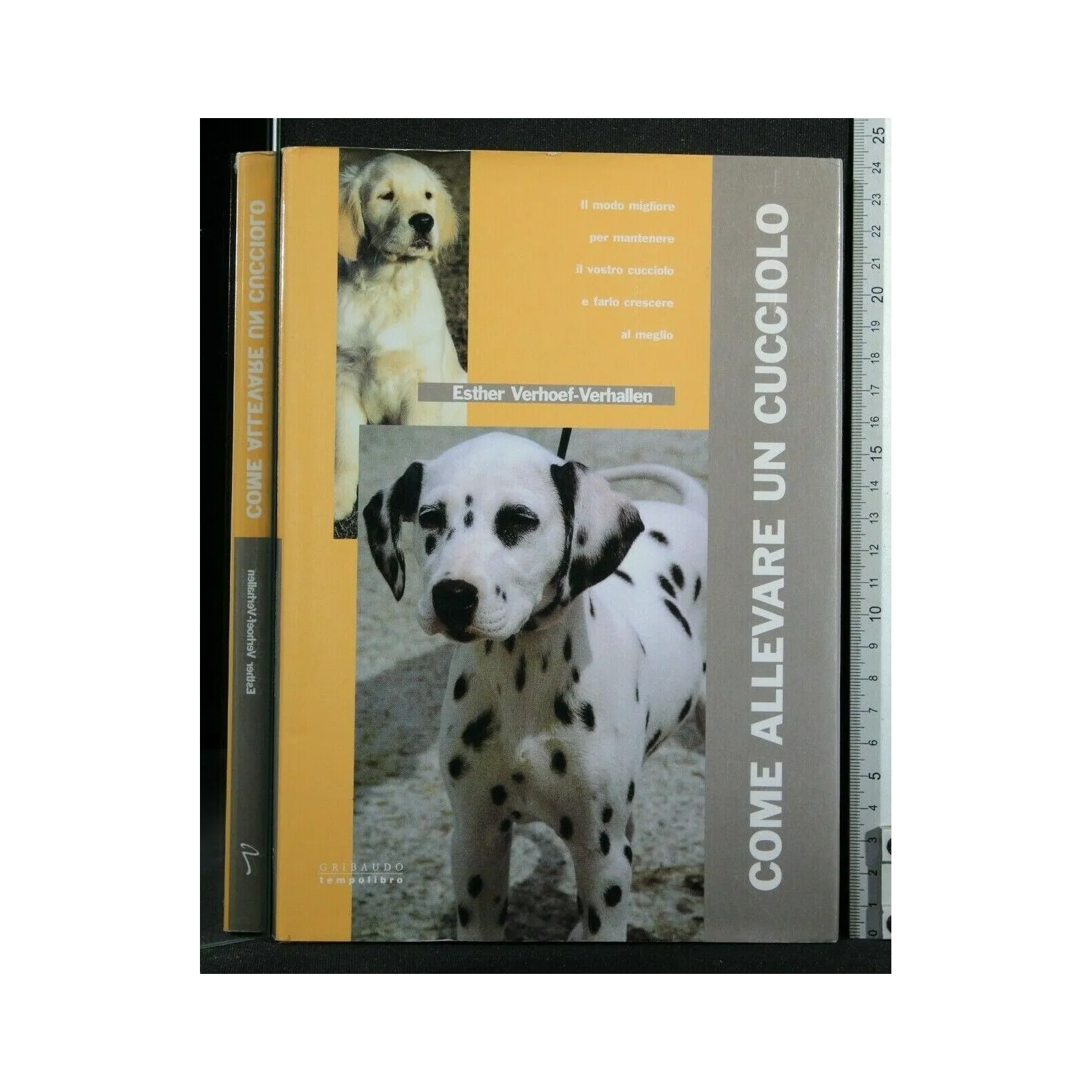 COME ALLEVARE UN CUCCIOLO