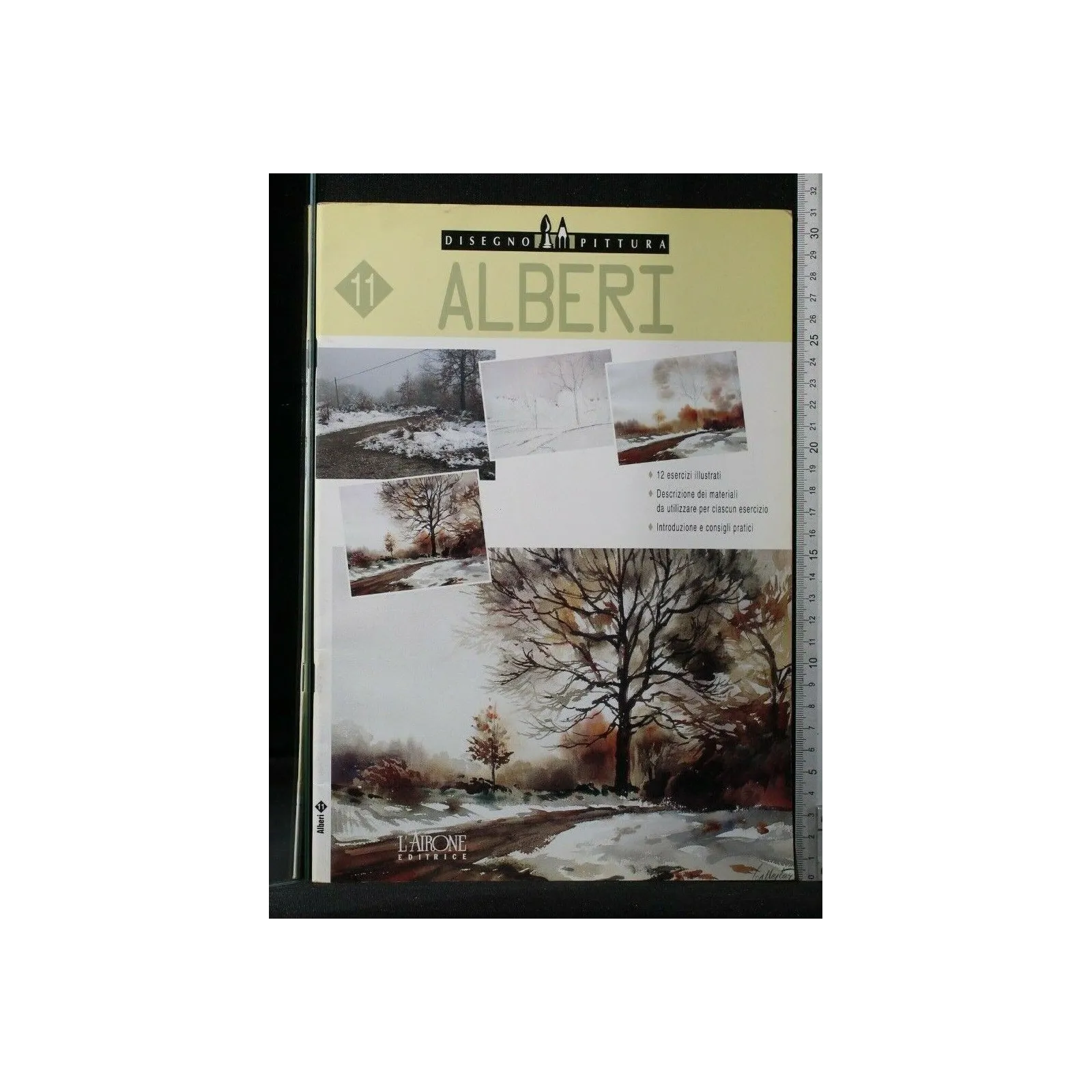 DISEGNO E PITTURA 11 ALBERI