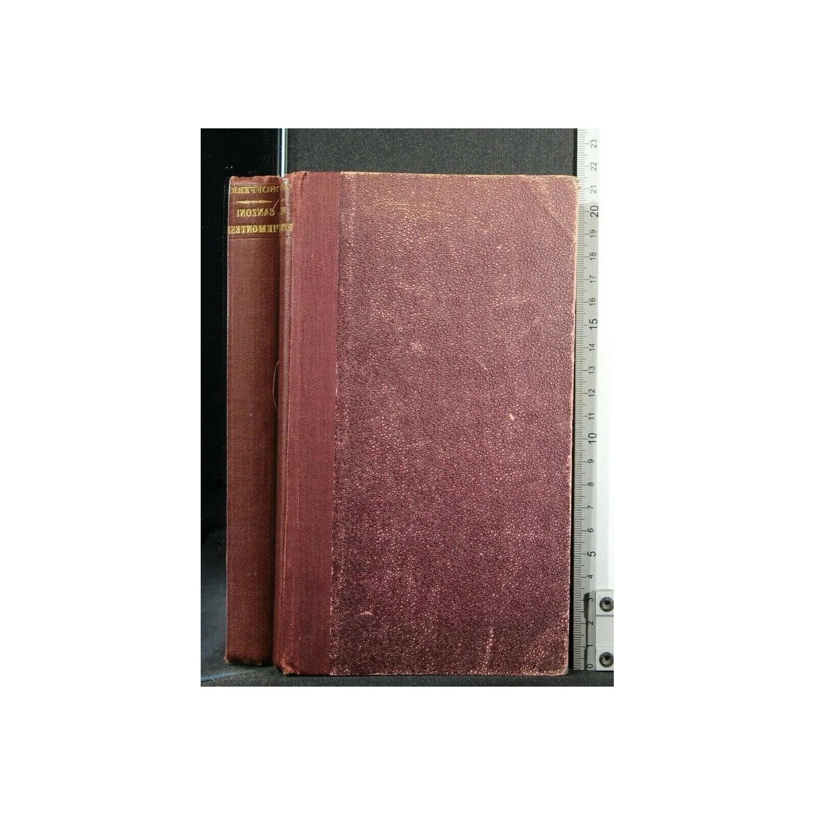 RACCOLTA COMPLETA DELLE CANZONI PIEMONTESI E DEI POEMETTI