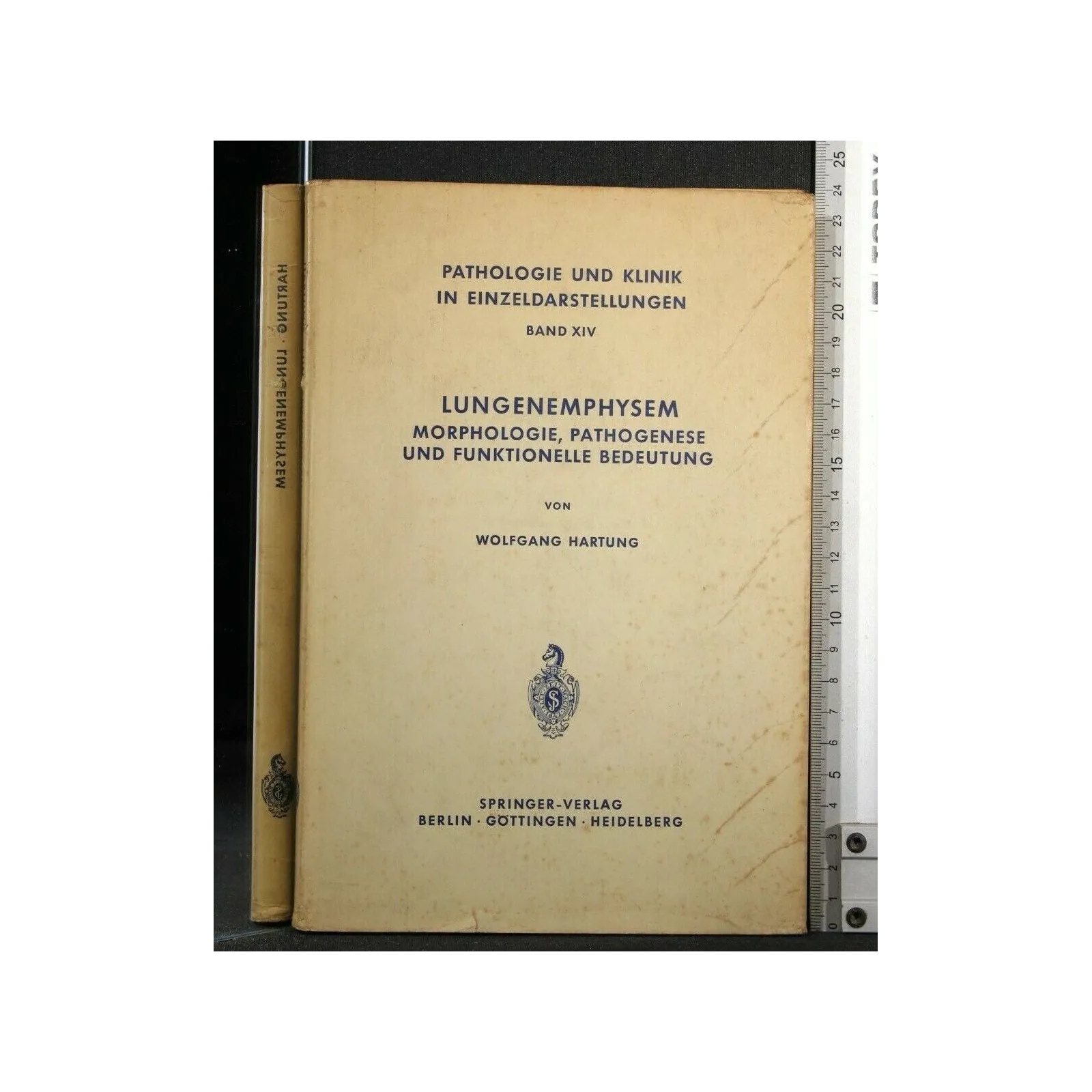 LUNGENEMPHYSEM MORPHOLOGIE, PATHOGENESE UND FUNKTIONELLE