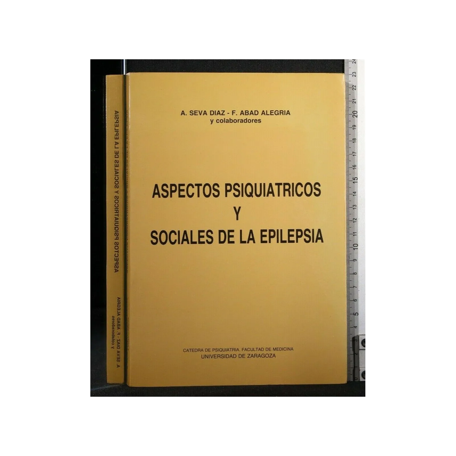 ASPECTOS PSIQUIATRICOS Y SOCIALES DE LA EPILEPSIA