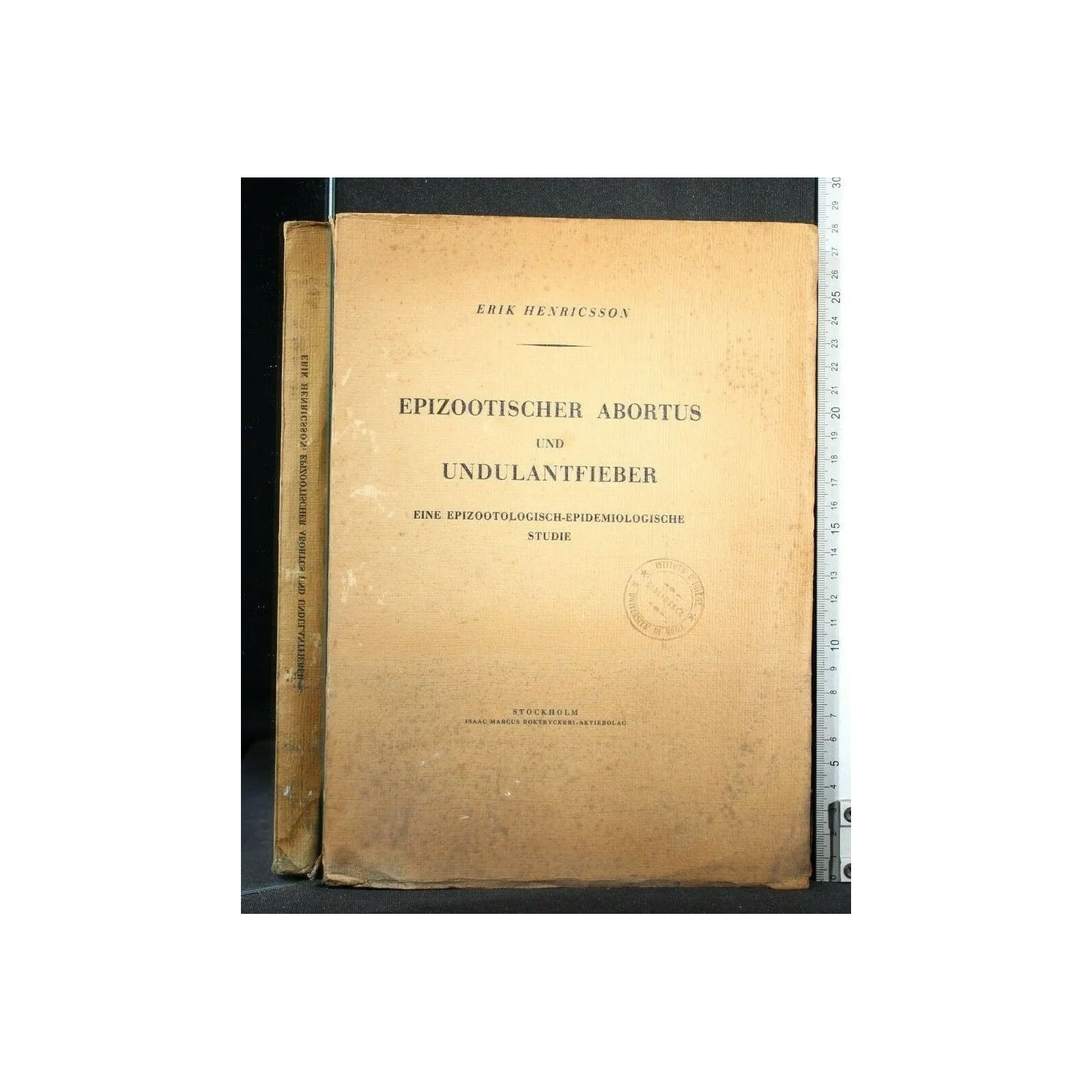 EPIZOOTISCHER ABORTUS UND UNDULANTFIEBER