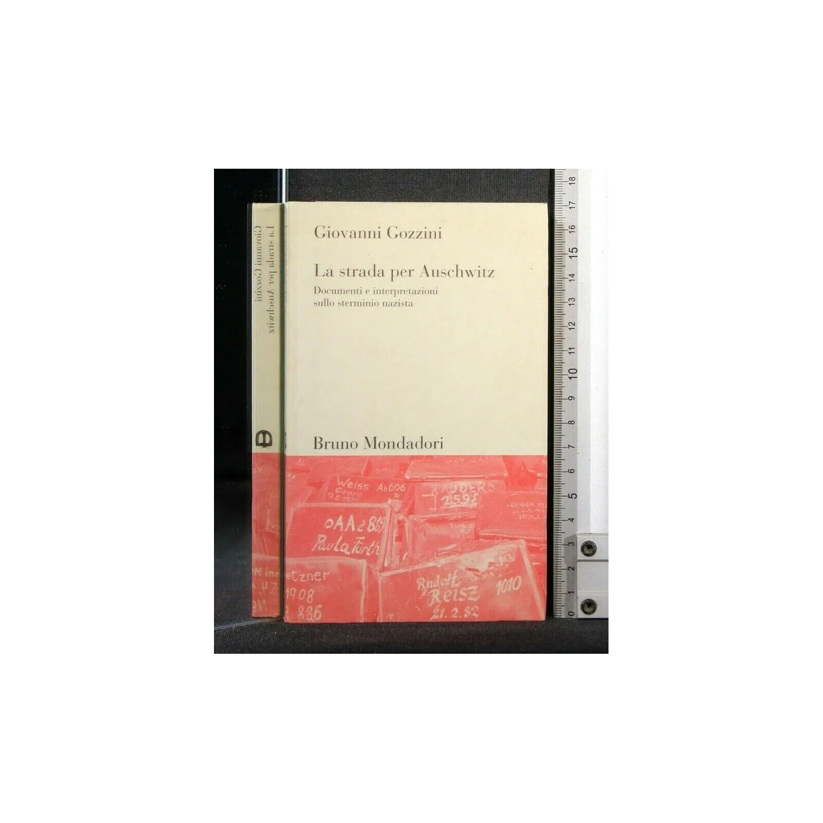 LA STRADA PER AUSCHWITZ