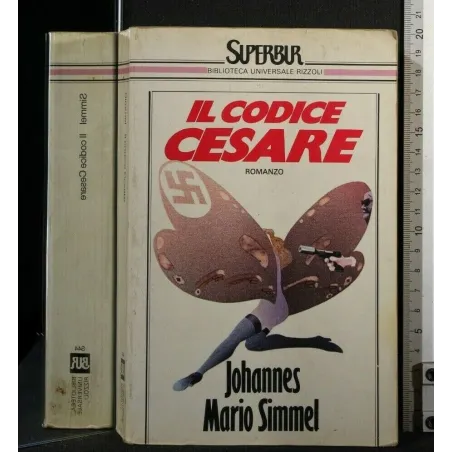 IL CODICE CESARE