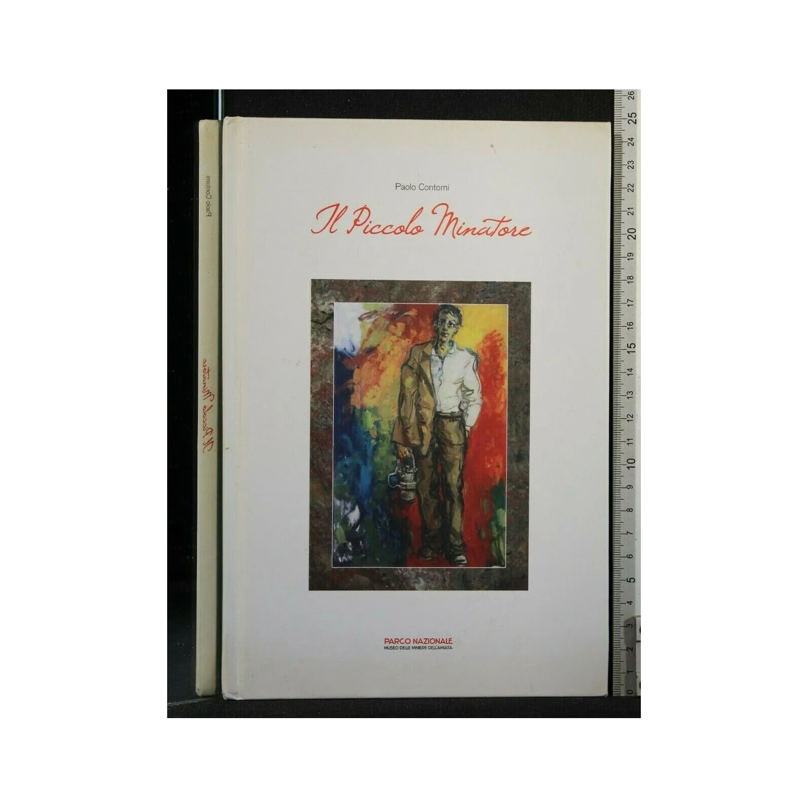 IL PICCOLO MINATORE LIBRO + DVD