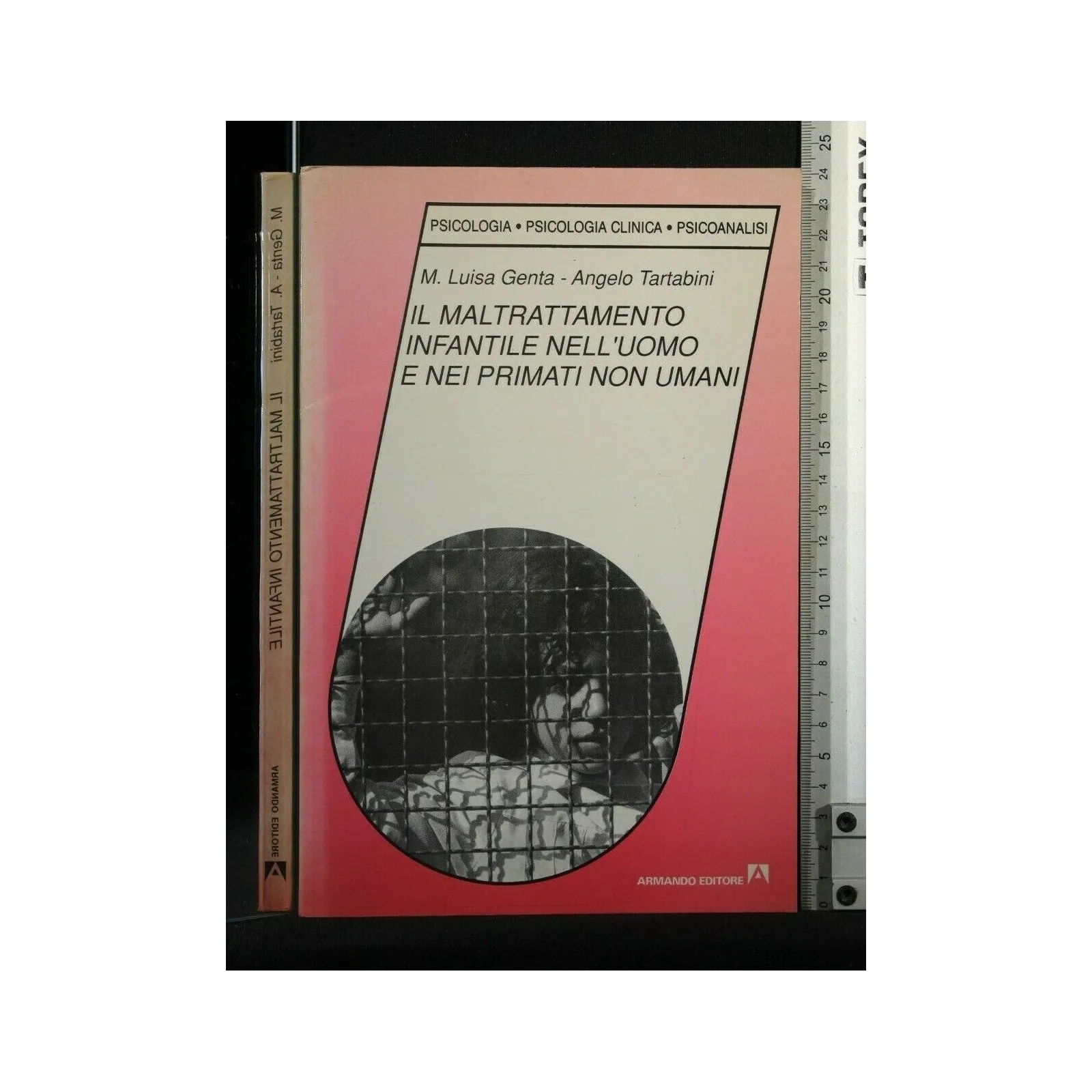 IL MALTARTTAMENTO INFANTILE NELL'UOMO E NEI PRIMATI NON UMANI