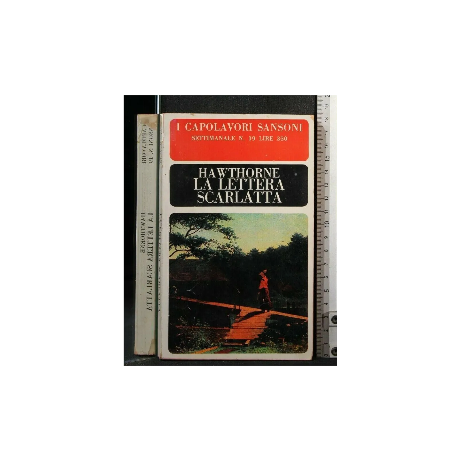 LA LETTERA SCARLATTA