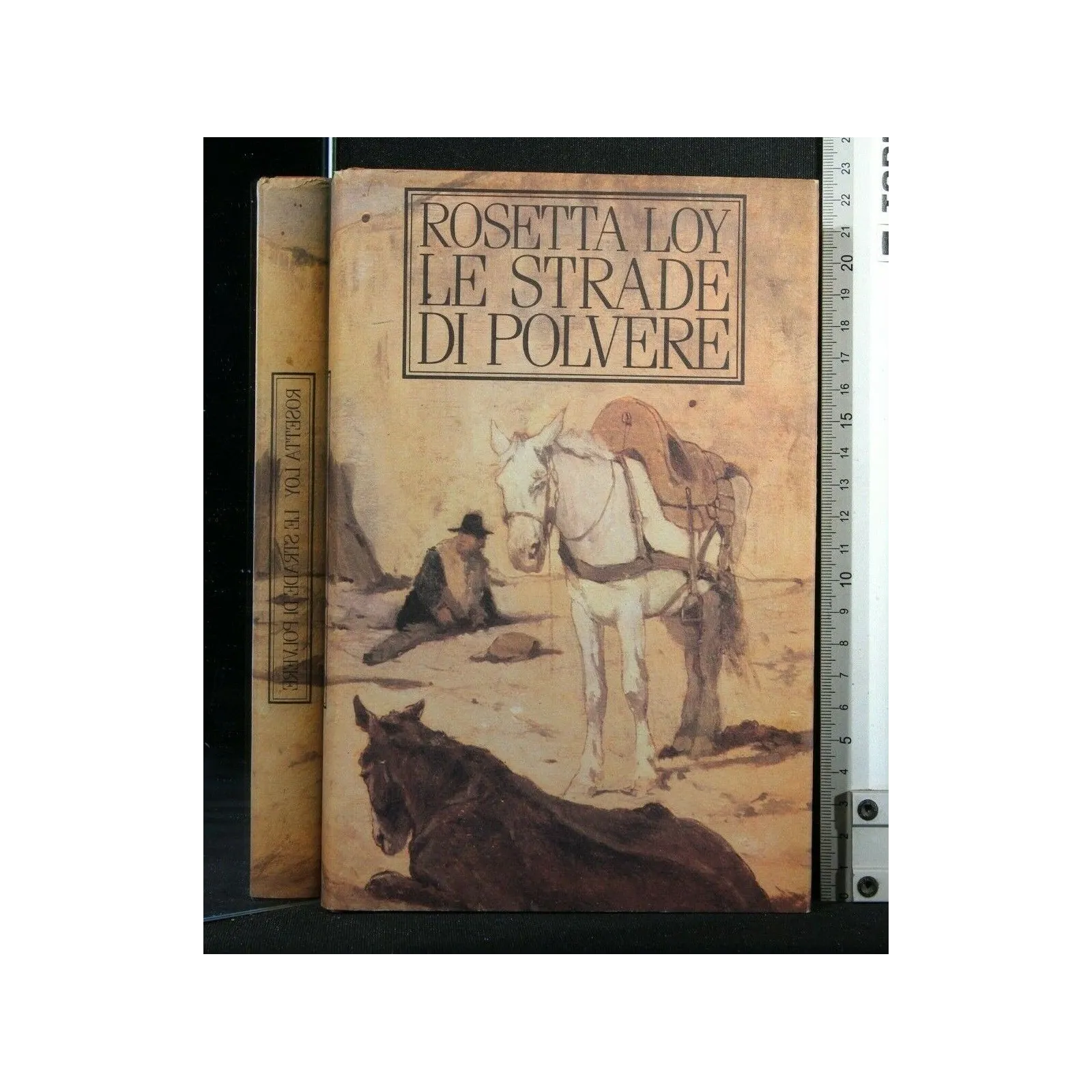 LE STRADE DI POLVERE