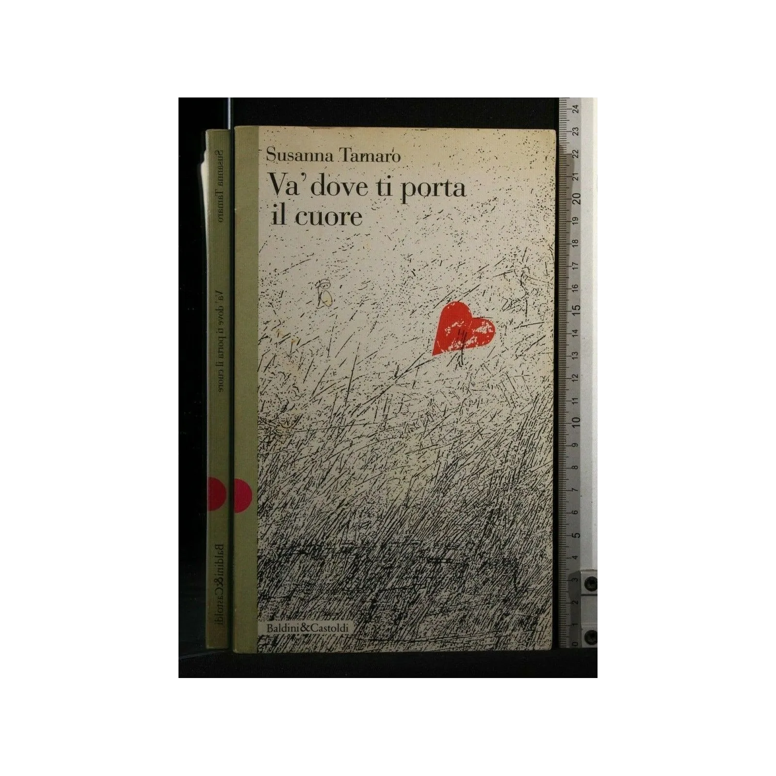 VA DOVE TI PORTA IL CUORE