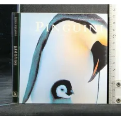 FINESTRE SULLA NATURA PINGUINI