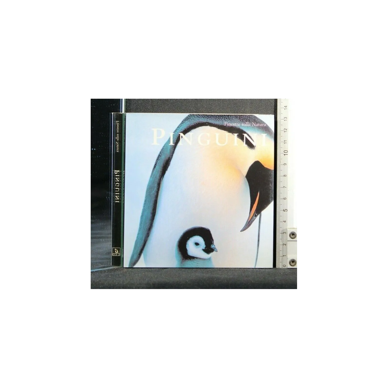 FINESTRE SULLA NATURA PINGUINI